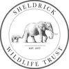 SheldrickTrust - @sheldricktrust - TikTok