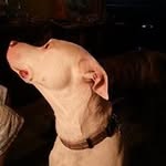 Frances Shivers - @francesshivers - Instagram