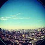 Frances Shock - @sonv2journal - Instagram