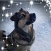 Frances Shoemaker Brauer - Facebook