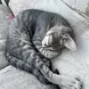 francesshort4 - @francesshort4 - TikTok