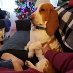 Frances Simone Dulin - @lifebtwnnaps - Instagram