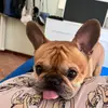 Francesca Simone - @francescasimone0824 - TikTok
