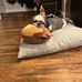 Frances Simons Ruskauff - Facebook