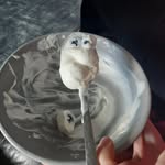 Frances Singleton - @francesrs - Instagram