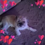 Frances Smith - Facebook
