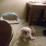 Frances Snyder - @frances.snyder.3538 - Instagram