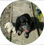 Frances Sorrell - Facebook