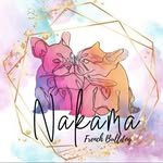 bulldog.frances.spain - @bulldog.frances.spain - Instagram