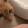 Franco Spangenberg - @franco.spangenber0 - TikTok