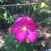 Frances Staten - Facebook