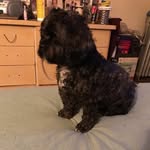 Frances Stokes - @francesstokes2330 - Instagram