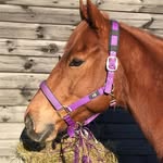 Frances Stokesberry - @francesstokesberry - Instagram