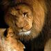 Frances Suttles - Facebook