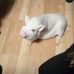 Frances Swan - Facebook