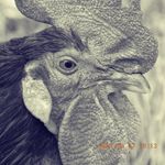 f photography - @francestany - Instagram