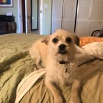Frances Teasley - Facebook