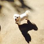 Frances Teasley Young - @teasleyyoung - Instagram
