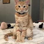 Oliver Theodore Frances - @olivertheodorefrances - Instagram