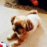 Frances Thomson - @thomson.frances - Instagram