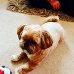 Frances Thomson - @frances.thomson - Instagram