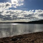 Frances Thomson - @frances.thomson.75 - Instagram