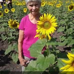 Frances Tiller - Facebook