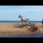 Frances Hughes - @franceshughes_barefoot_trimmer - Instagram