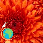 Frances VanHooser - Facebook