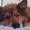 Francesco Verna - @francesco.verna3 - TikTok