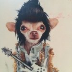 Frances Vogel - @francesvogel61 - Instagram