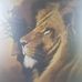 Frances Wakefield - Facebook
