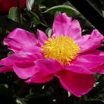 Frances Warnock - Facebook