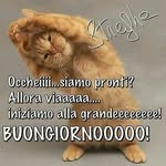 @francescawellborn314 - Instagram