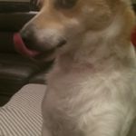 frances Wheatley - @franceswheatley - Instagram