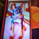 Frances Wheaton - Facebook