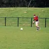Francis Whelan - @francis.whelan3 - TikTok