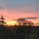 Frances Whittaker - @whittakerfrances - Instagram