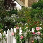 Frances Rodriguez Wickham - @frwickham - Instagram