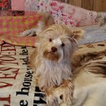 Frances Wilcher - @wilcher_frances - Instagram