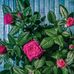 Francis Wise - Facebook