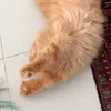 francesthewren - @francesthewren - TikTok