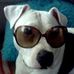 Frances M. York - Facebook