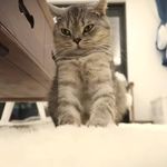 Frances - @frances__zhang - Instagram