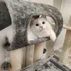 Frances Zhang - @franceszhang1 - TikTok