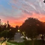 𝓕𝓻𝓪𝓷𝓬𝓮𝓼𝓬𝓪 𝓑𝓻𝓾𝓷𝓲 - @francesca_b____ - Instagram