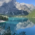 Francesca Bruni - Facebook
