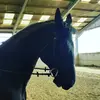 Francesca Butler - @frannkie145793 - TikTok