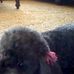 Francesca Cappucci - Facebook