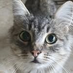 @francesca.carbone__ - Instagram